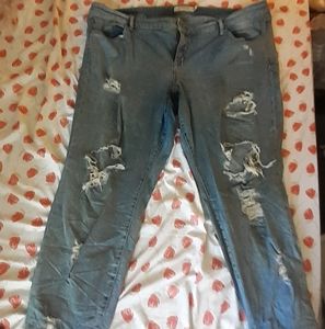 Torrid distressed jeans